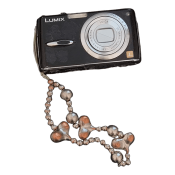 Panasonic Lumix DMC-FX01 camera