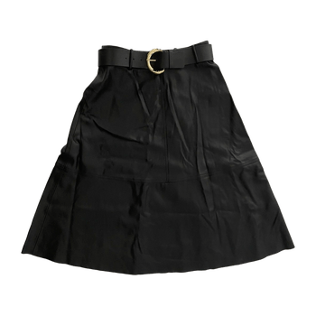 Zara skirt