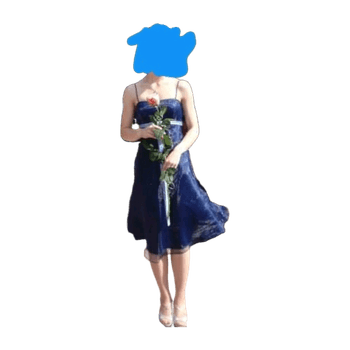 Alfred angelo dress