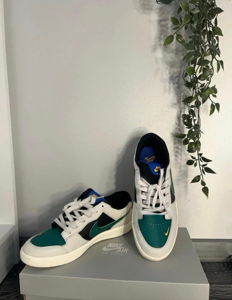 Nike SB Force 58