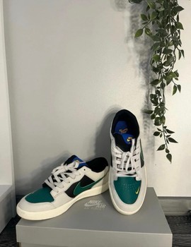 Nike SB Force 58