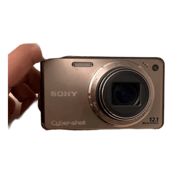 Sony Cyber-shot DSC-W290 Digital Camera