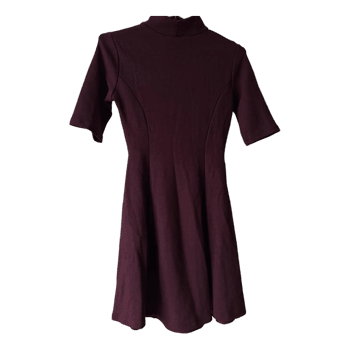 Zara Burgundy mock neck dress