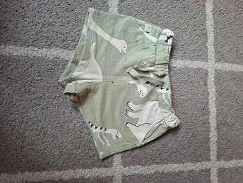 Green dinosaur print shorts