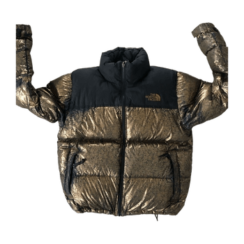 The north face coat