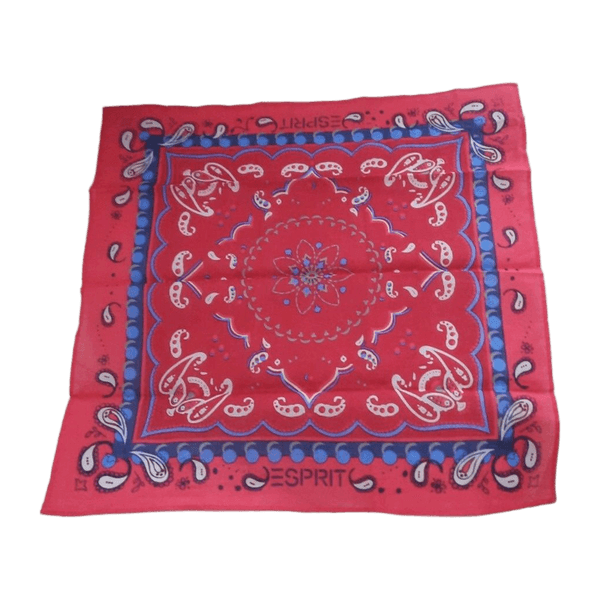 Esprit scarf