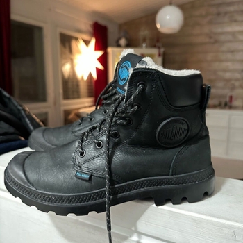 Palladium shoes