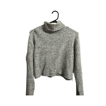 Harmaa ribbineule poolo