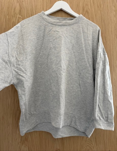 Grey sweatshirt
