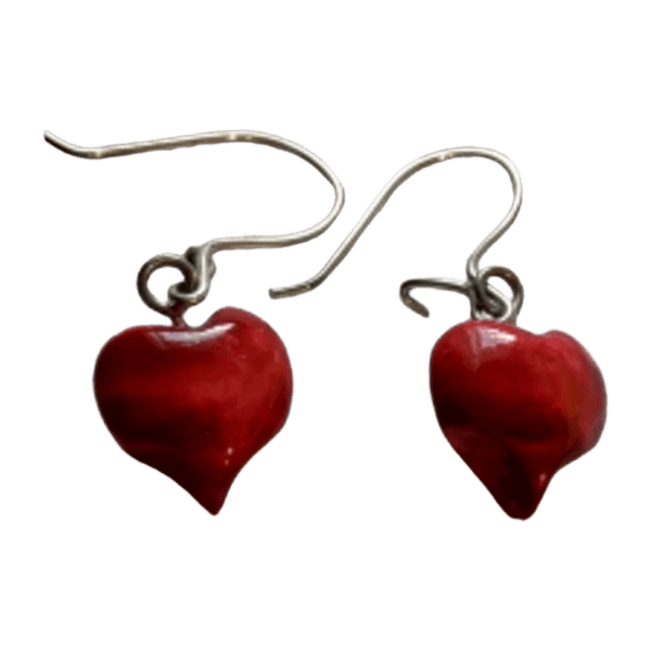 Sydän korvakorut jewelry