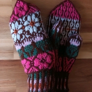 Handmade mittens