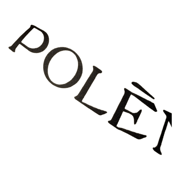 Polène burgundy tote bag