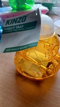 Kinzo orange insect trap
