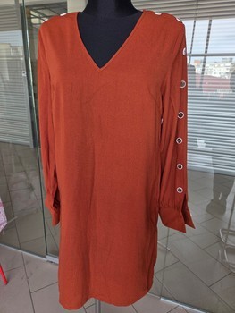 Brown buttoned dress