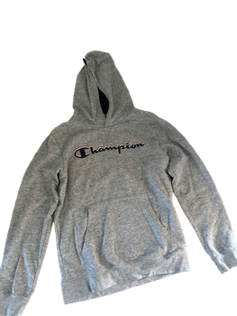 Champion hoodie