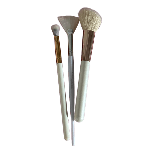 Makeup brush set