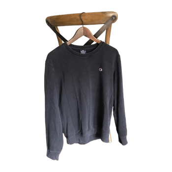 Champion hoodie
