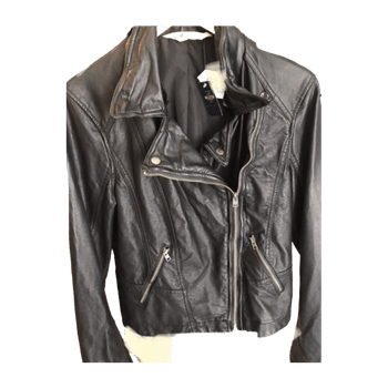Hollister coat