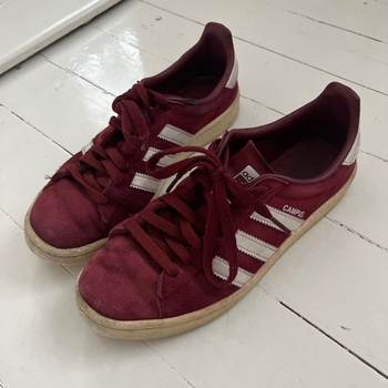 Adidas sneakers