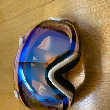 Skigoggles Smith