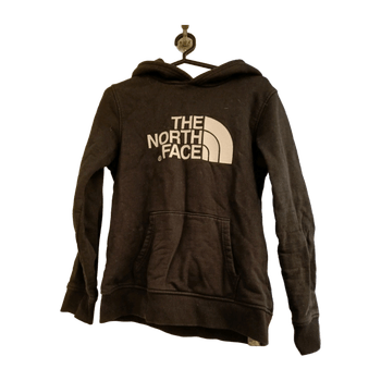 The north face hoodie