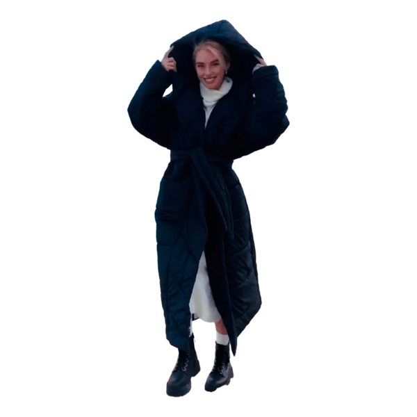 ziemas metelis