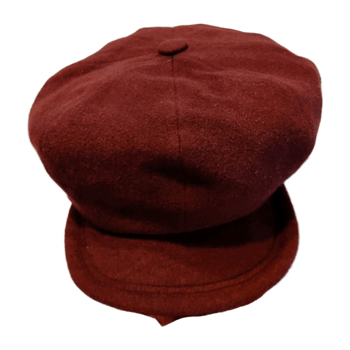 Salon headwear