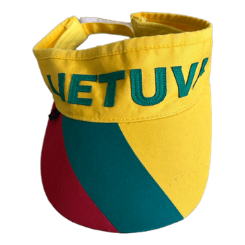 Ivega Lietuva skydelis