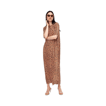 Zara leopard print maxi dress