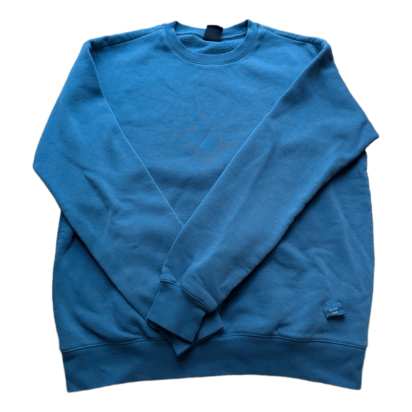 Blue sweatshirt