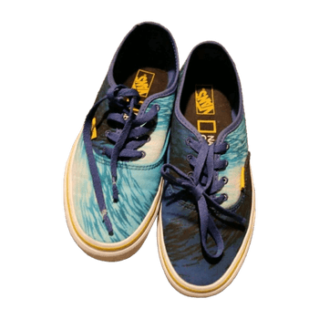 Vans sneakers