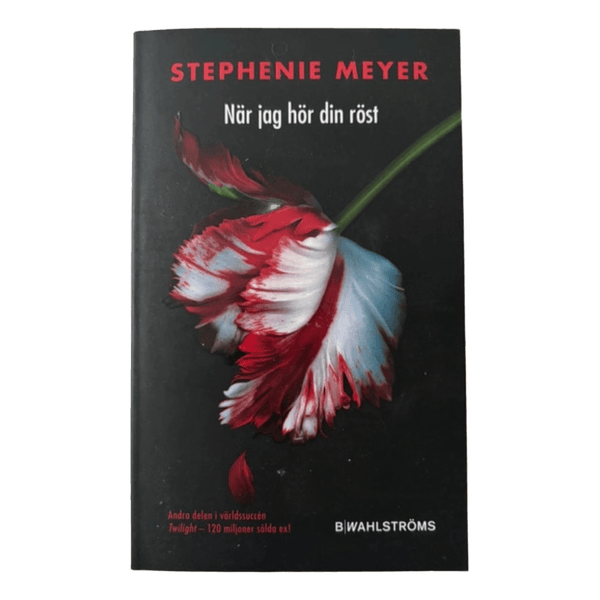 Bok När jag hör din röst av Stephenie Meyer