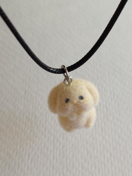 Kaulakoru: pupu