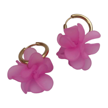 Ear rings jewelry