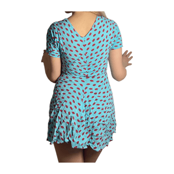 Zara dress