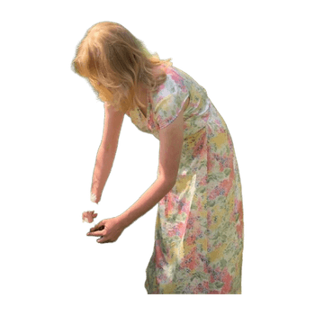 & other storie dress