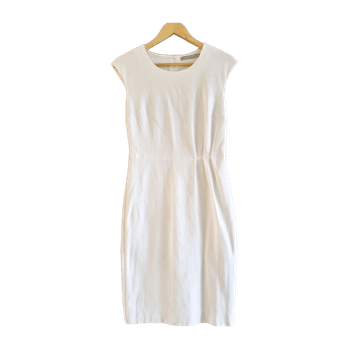 Tiger of sweden dress