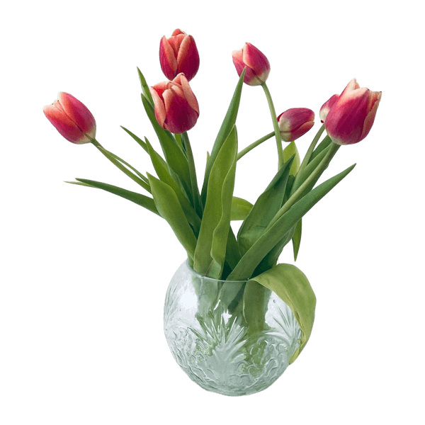 Maljakko/ Vase
