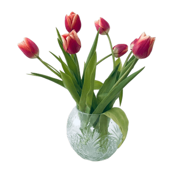 Maljakko/ Vase