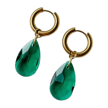 Ear rings jewelry