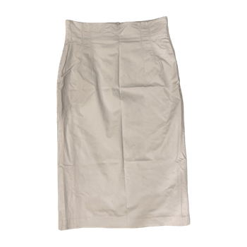 H&m skirt