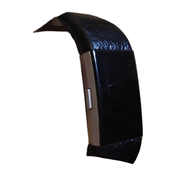 Fitbit accessory