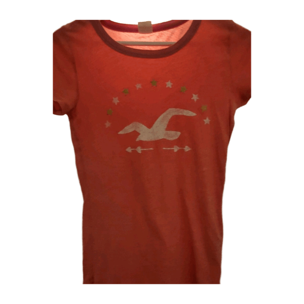 Hollister top