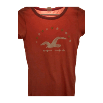 Hollister top