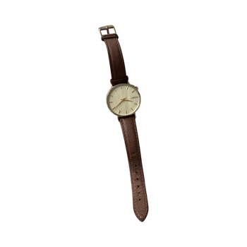 Brown leather wristwatch