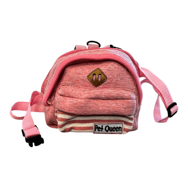 Pet Queen backpack for small dog