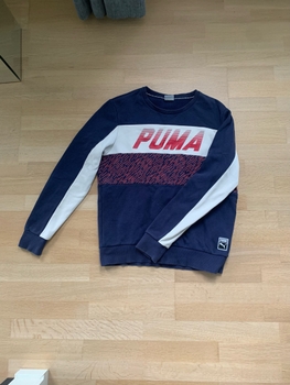 Puma college