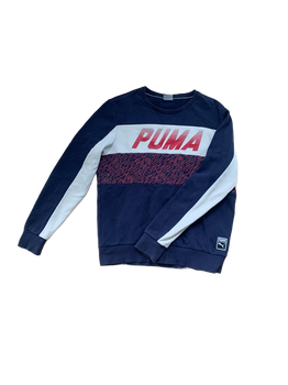Puma college