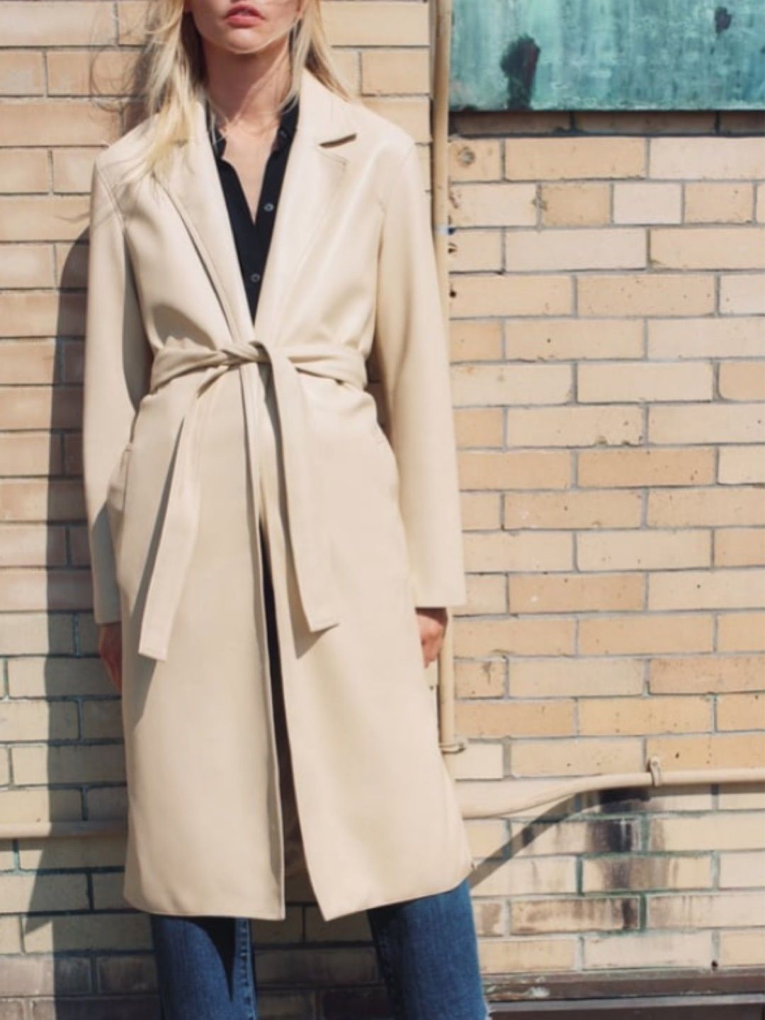 Zara coat