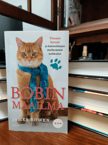 James Bowen, Bobin Maailma